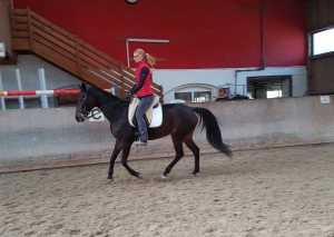 Galopp - ganz ohne Stress